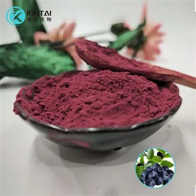 European Bilberry Extract