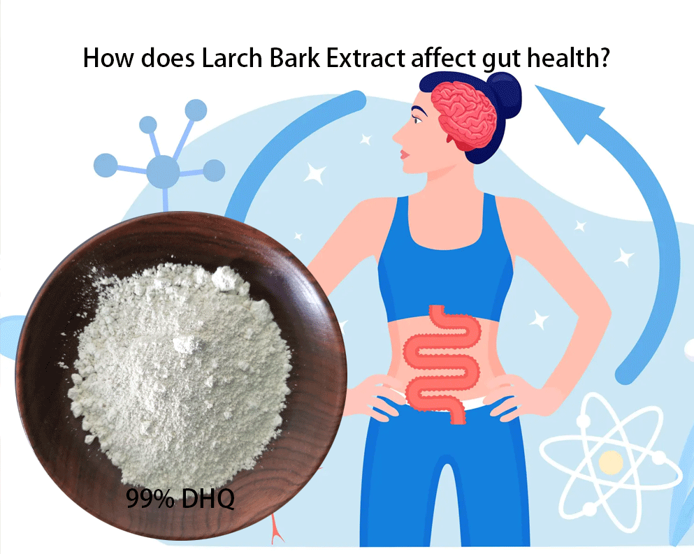 Larch Bark Extract, Also Known As Taxifolin Or DHQ (Dihydroquercetin) Larch Bark Extract, Also Known As Taxifolin Or DHQ (Dihydroquercetin)