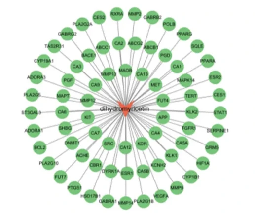 Target Prediction And Protein-Protein Interaction Network (PPI) Target Prediction And Protein-Protein Interaction Network (PPI)